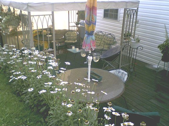 The Deck