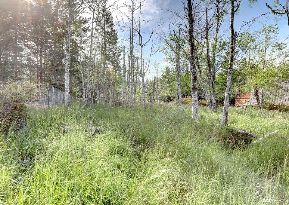 Along north property line along the road. Private Herron Island building lot. Lot is 80 by 200 rectangular in size. Water meter 