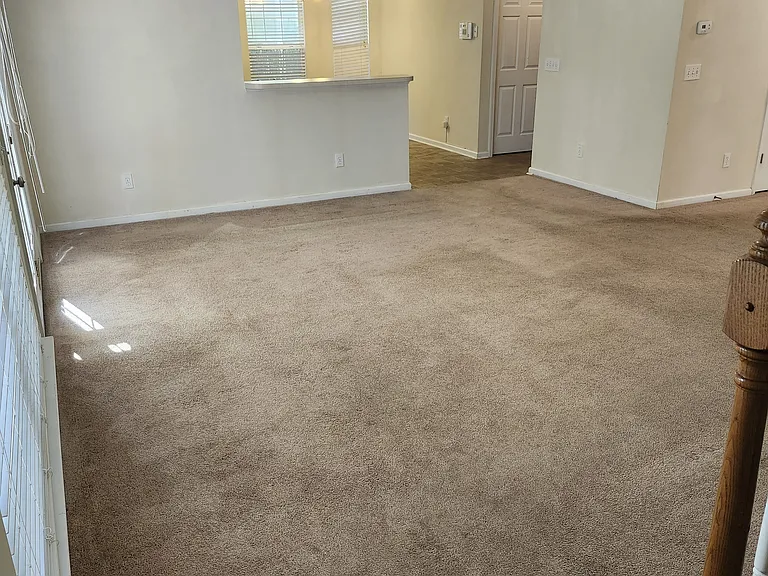 429 Buttonbush Ct — Photo 8