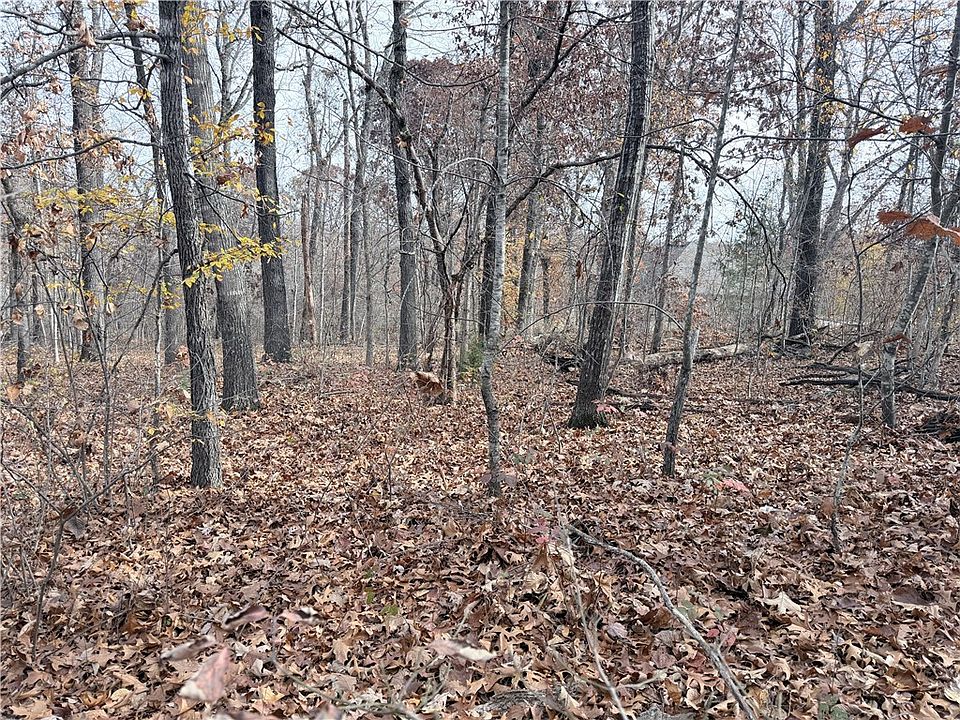 2nd image of Aaron Ln #24