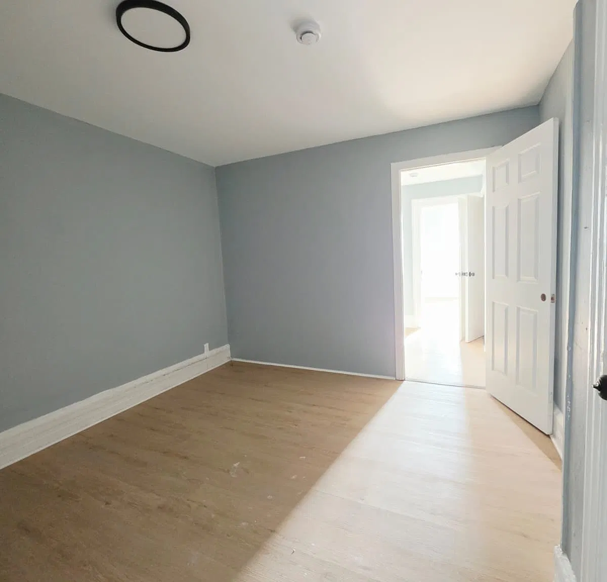 2 bed, 800 sqft, $2,050 — Photo 3