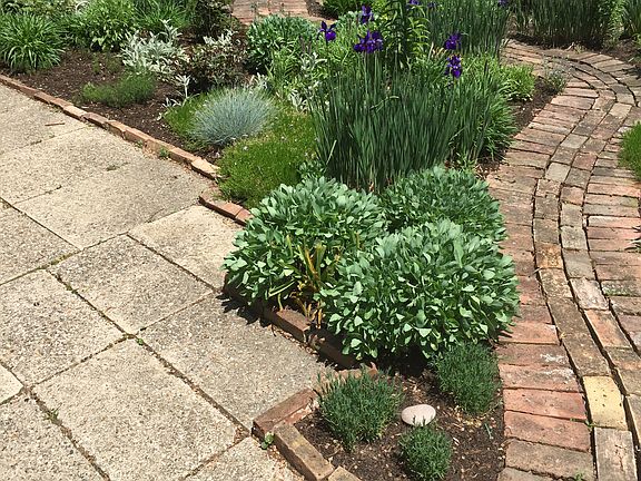 Path toward side yard