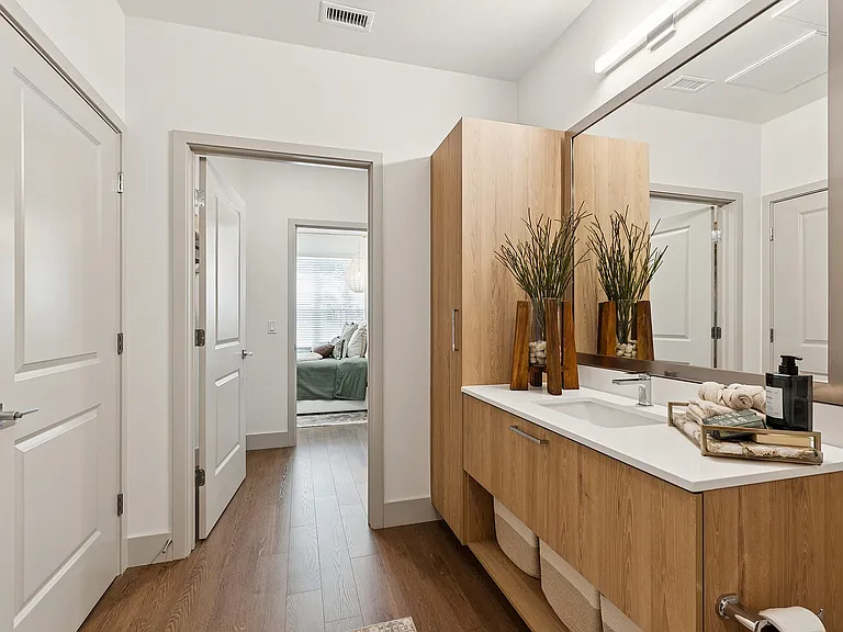 Spa-inspired bathrooms with modern finishes