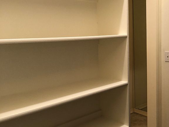 Storage in downstairs closet