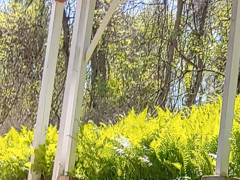 back porch