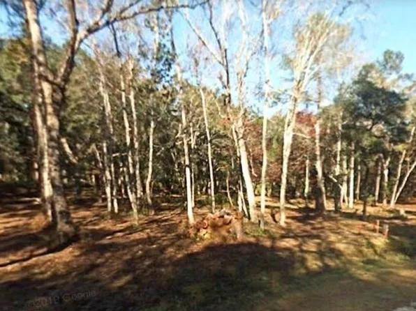 33 Carnochan Dr SE, Darien, GA 31305
