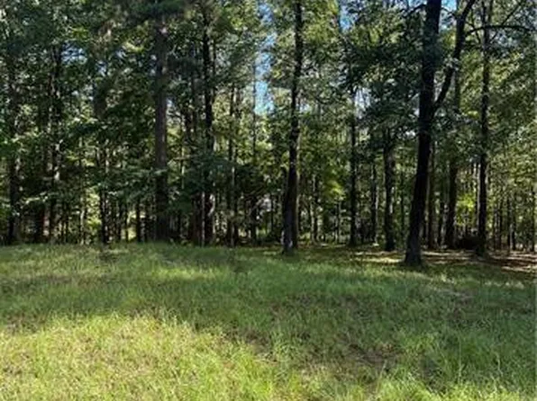 1009 E Nantachie Dr, Montgomery, LA 71454