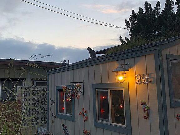 4th image of 355 Las Vegas St