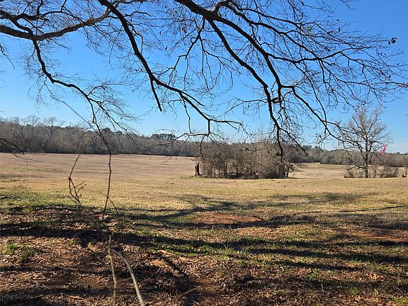 4th image of 20398 Old Palestine Rd