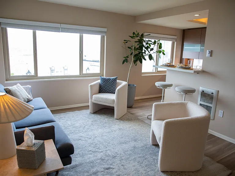 Park Tower Apartments — Photo 78