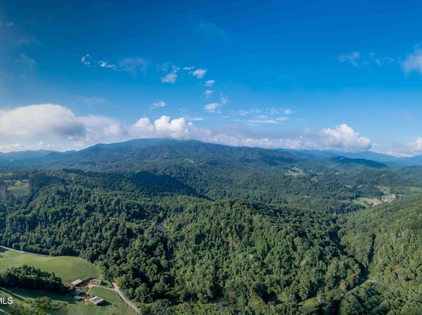 306 Bear Branch Rd, Roan Mountain, TN 37687