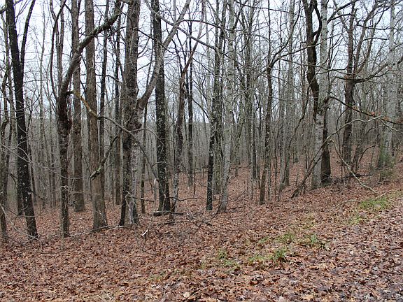 4th image of 184 Beachwood Dr Lot 36