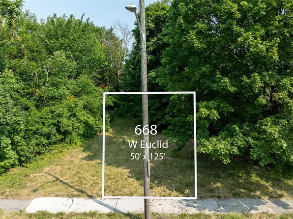 668 W Euclid St, Detroit, MI 48202