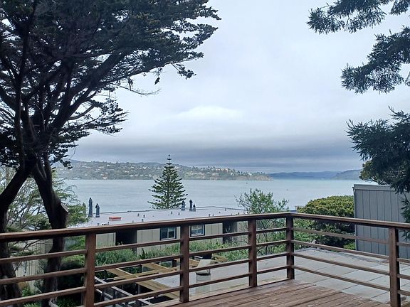 View from redwood deck