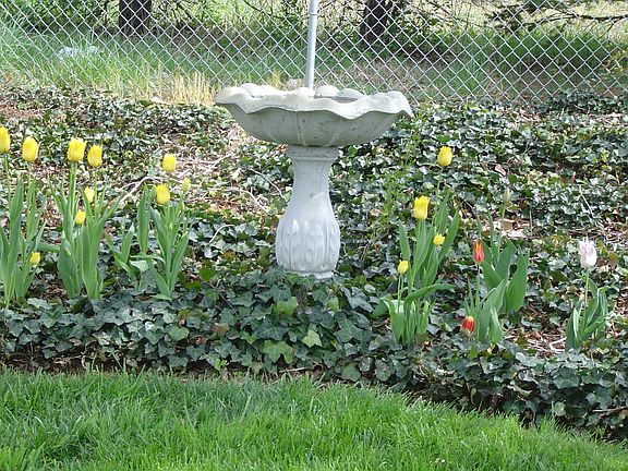 Beautiful Landscaping