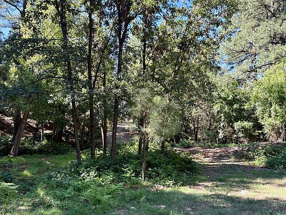 3rd image of 165 W BURNT POINT Trail #1