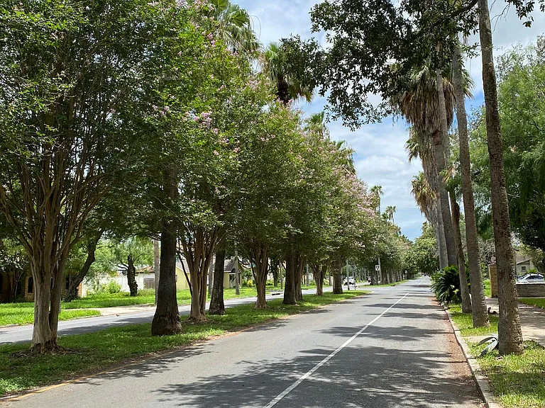 Located at De Palmas Historic District.