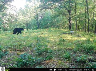 V/l N Hawkins Rd, Luther, MI 49656