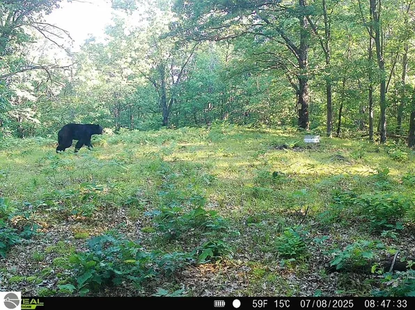 V/l N Hawkins Rd, Luther, MI 49656