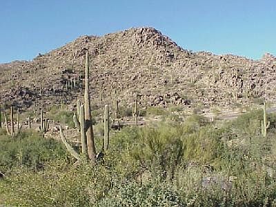 2nd image of 1122 W Tortolita Mountain Cir #W
