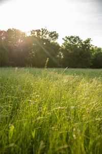 SW County Road 2349, Richland, TX, 76681