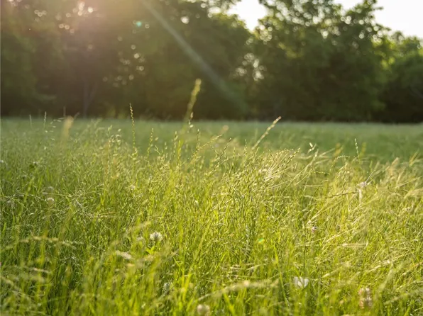 SW County Road 2349, Richland, TX 76681