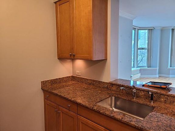 5th image of 25 E Superior St APT 501