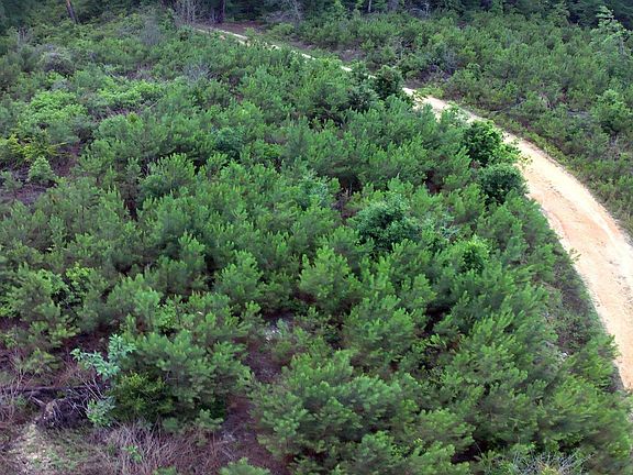 3rd image of 0 County Road 35