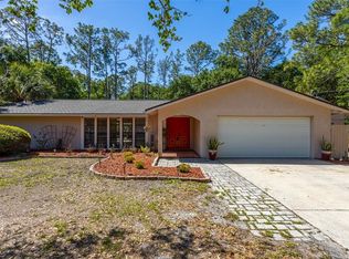 12814 Twin Branch Acres Rd, Tampa, FL 33626