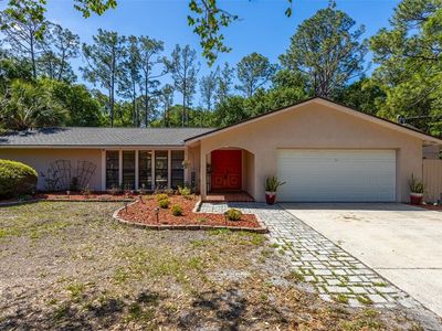 12814 Twin Branch Acres Rd, Tampa, FL, 33626