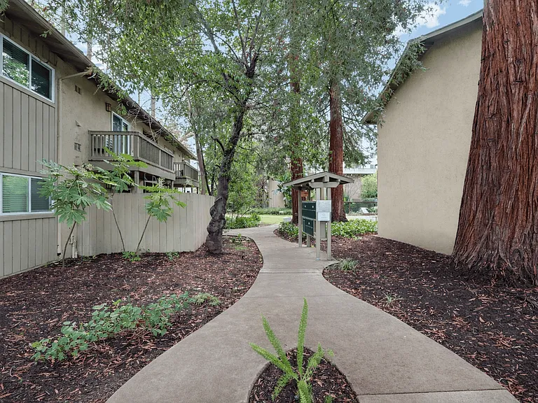 Park Vista Apartments — Photo 12
