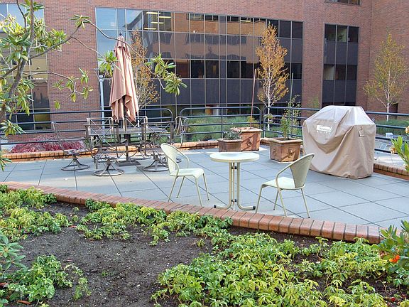 A barbeque area in the main courtyard