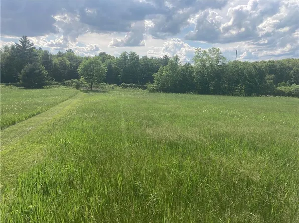 0 Hwy 46 & Mains Crossing, Apple River, WI 54001