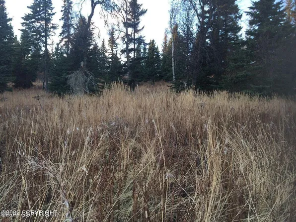 L48 Palmer Family Rd, Ninilchik, AK 99639