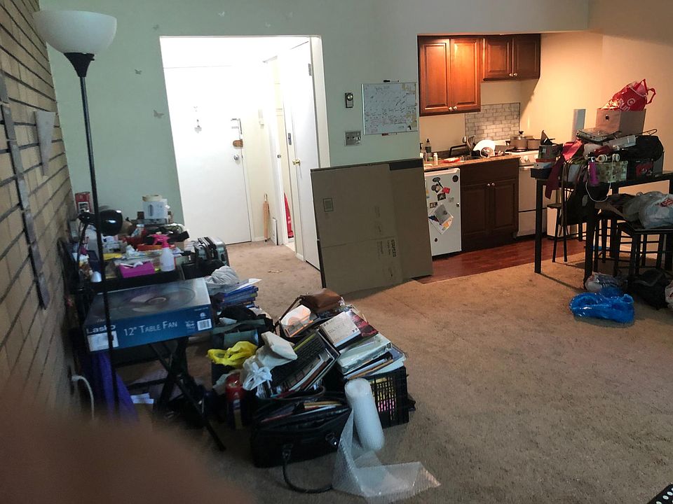 Living Room/Bedroom