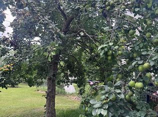 279 Wh Smith Rd, Denton, GA 31532