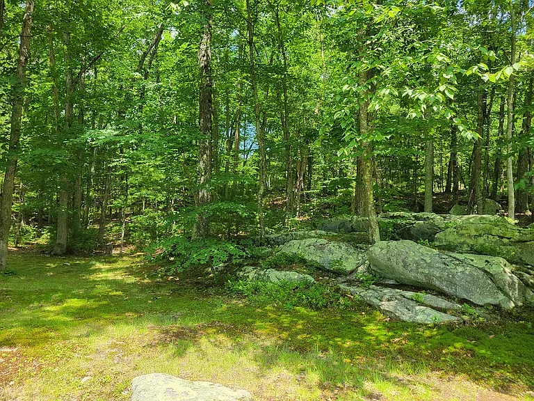 475 Hill Rd — Photo 4