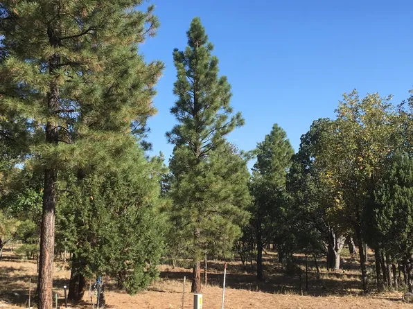 5658 Bald Eagle Way, Happy Jack, AZ 86024