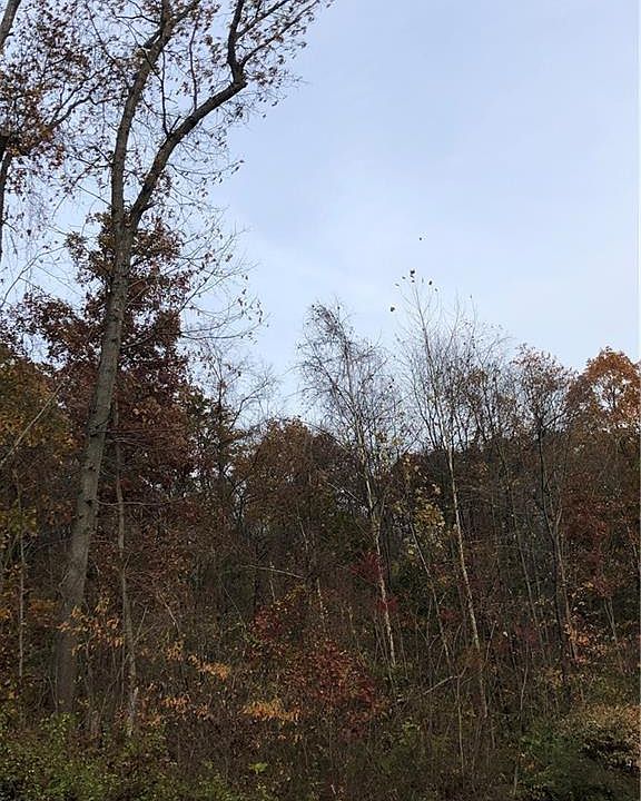 2nd image of Youngstown Lowellville Rd
