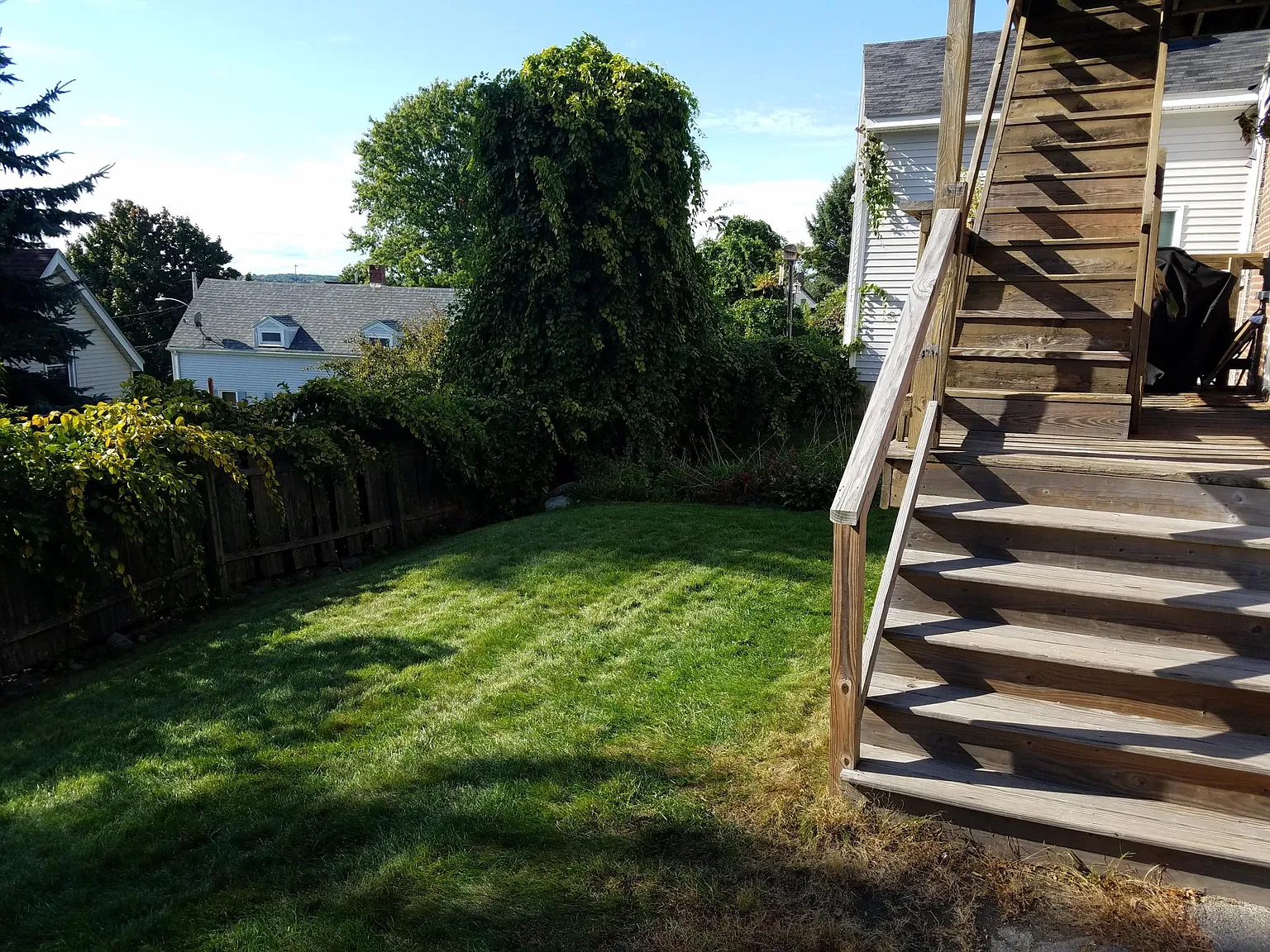 1 bed, $1,800 — Photo 4