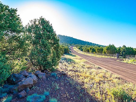 3rd image of 1251 E Sagebrush Rd
