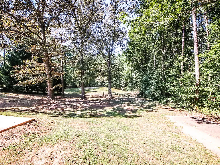 rear yard