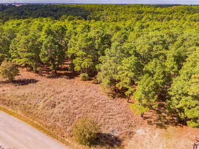 NULL-TBD1 Briar Forest Dr, Bastrop, TX, 78602