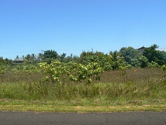 1st image of LOT 113 Lot 113