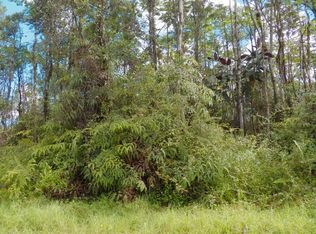 Alii Rd LOT 992, Pahoa, HI 96778