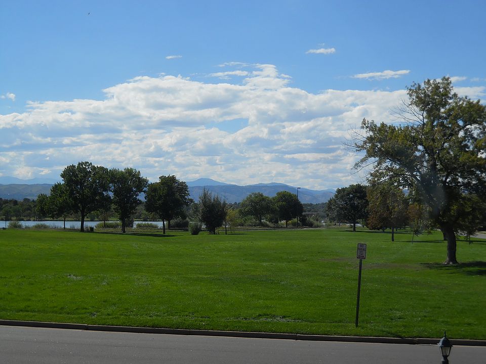 view from front window