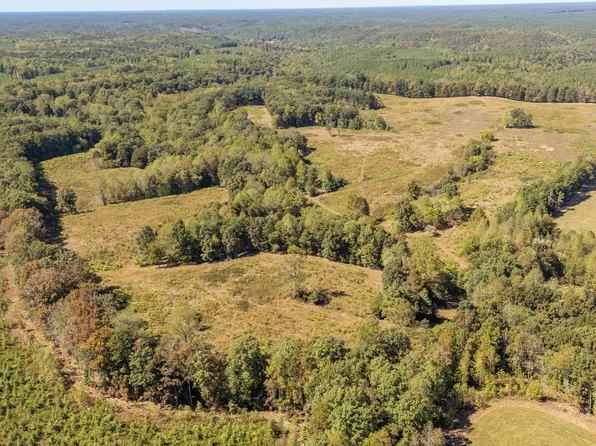0 Bevis Ridge Rd, Cypress Inn, TN 38452