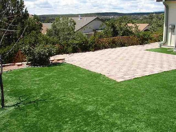 Backyard View