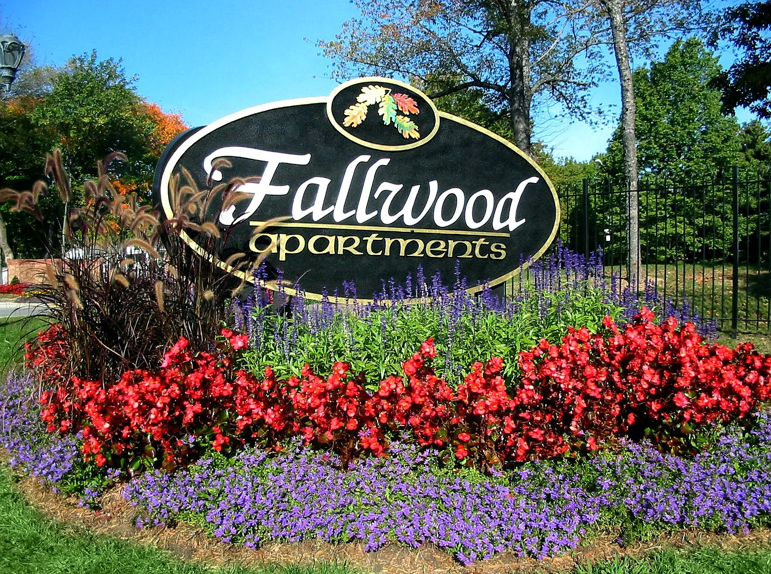 Fallwood — Photo 4