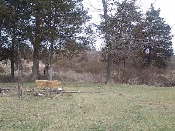 Back yard with Creek at tree